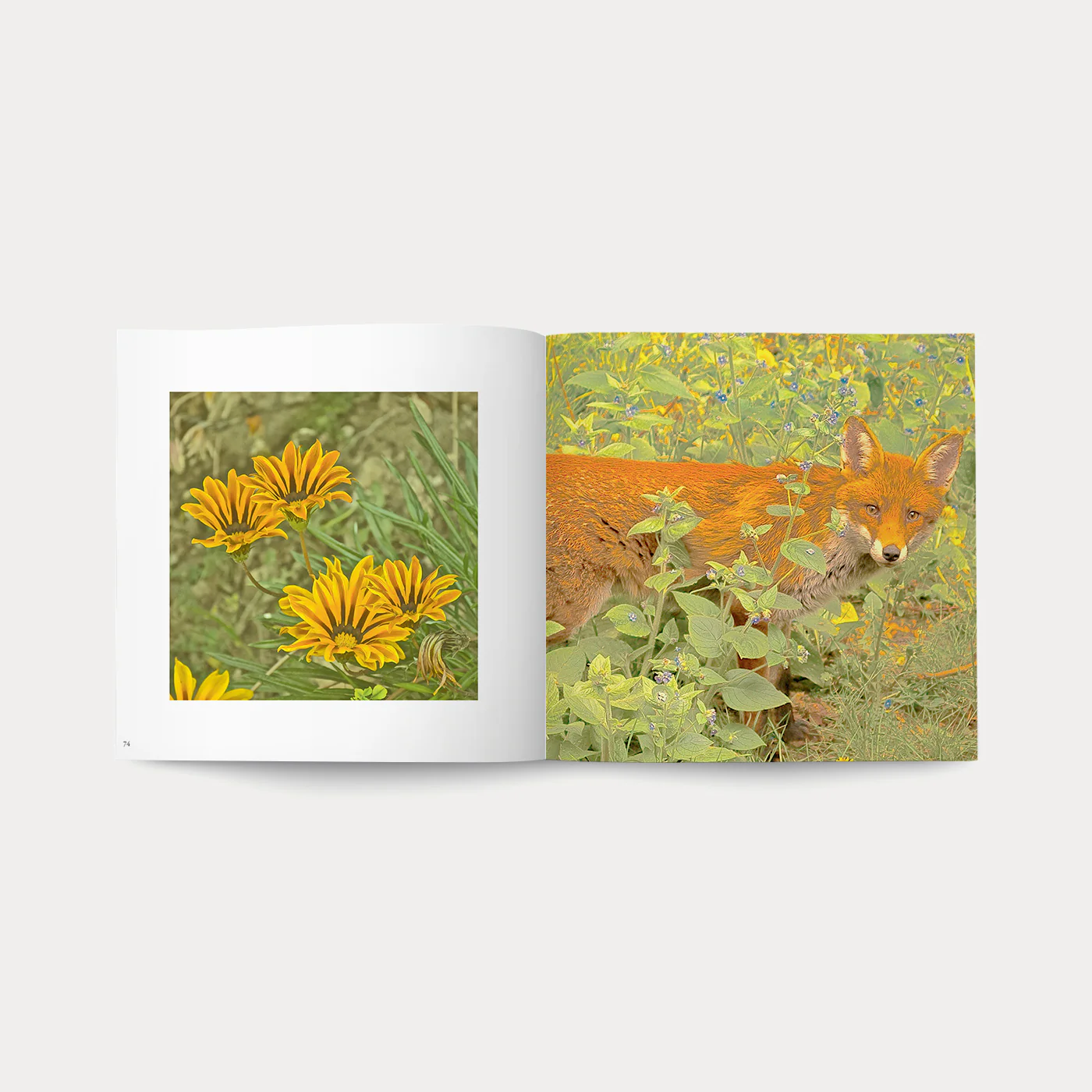 Libro Magic Garden - Image 4