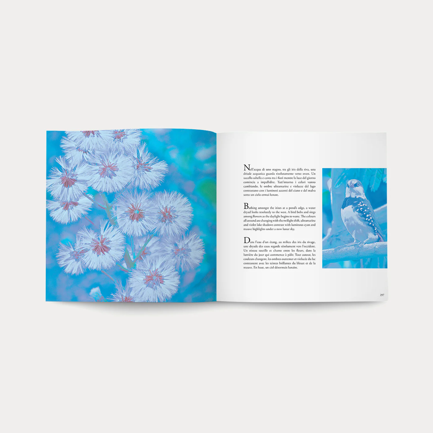 Libro Magic Garden - Image 6