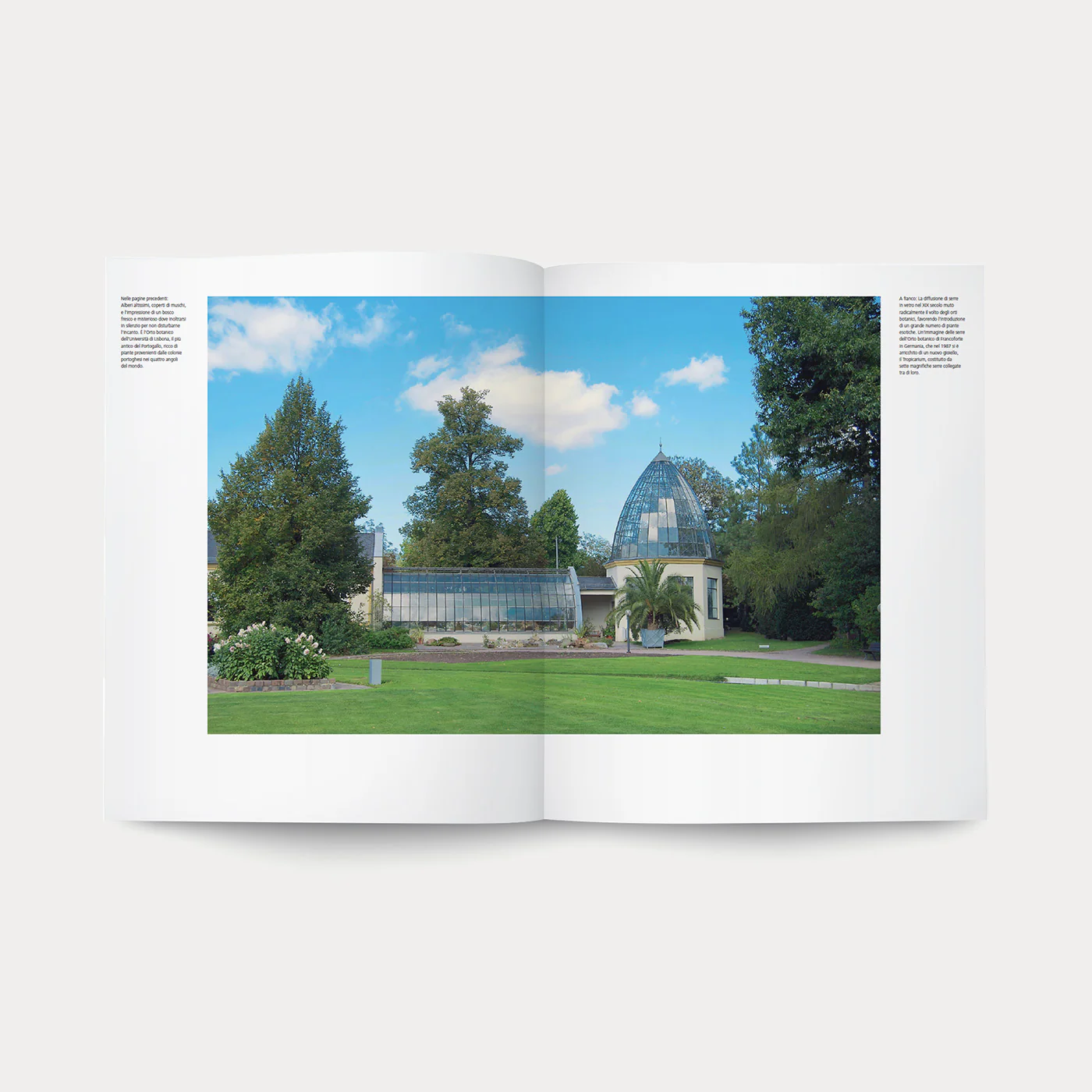 Libro Orti Botanici - Image 5