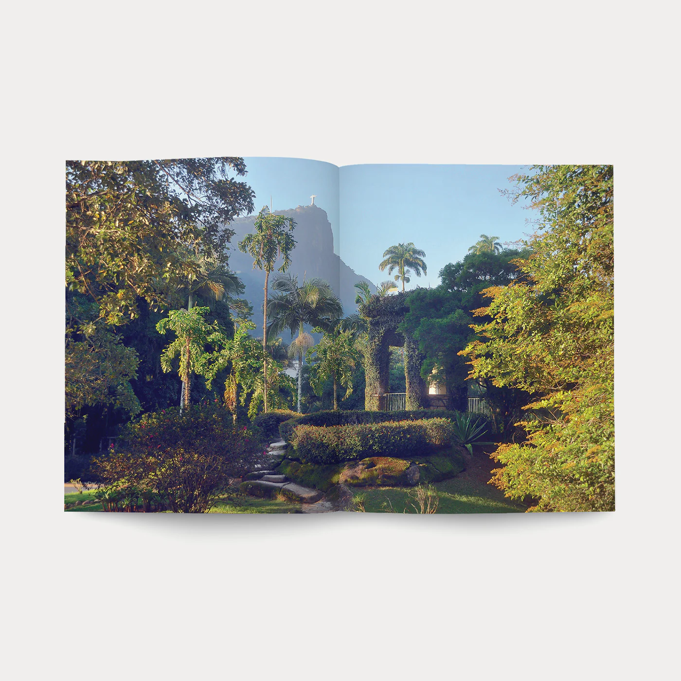 Libro Orti Botanici - Image 7
