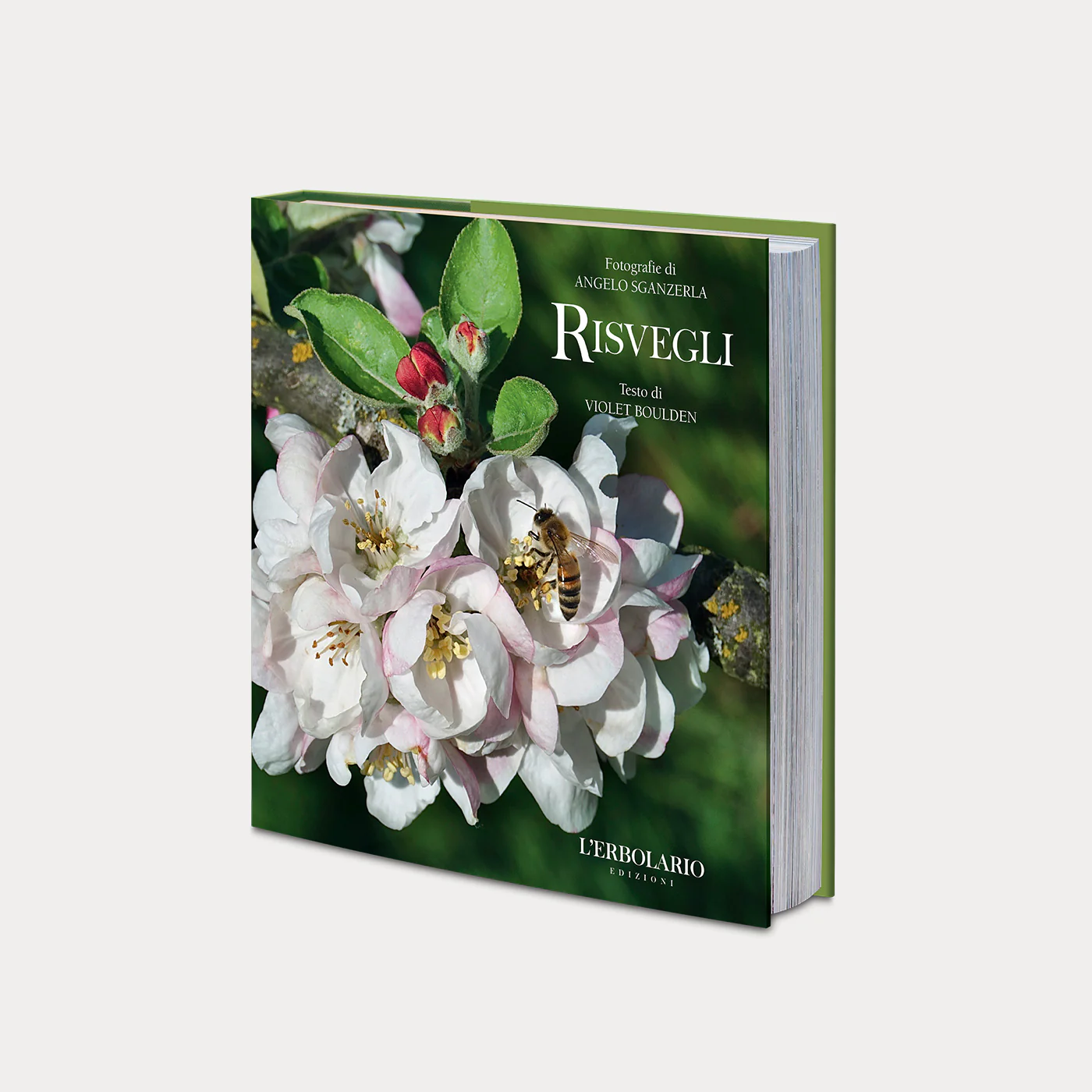 Libro Risvegli